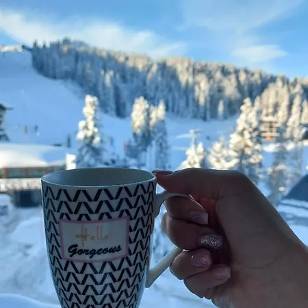 アパート Olimpijska Kuca A502 *